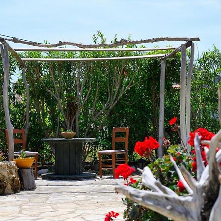 Harmony Corfu Apartments & Studios ภายนอก รูปภาพ