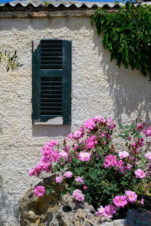 Harmony Corfu Apartments & Studios ภายนอก รูปภาพ