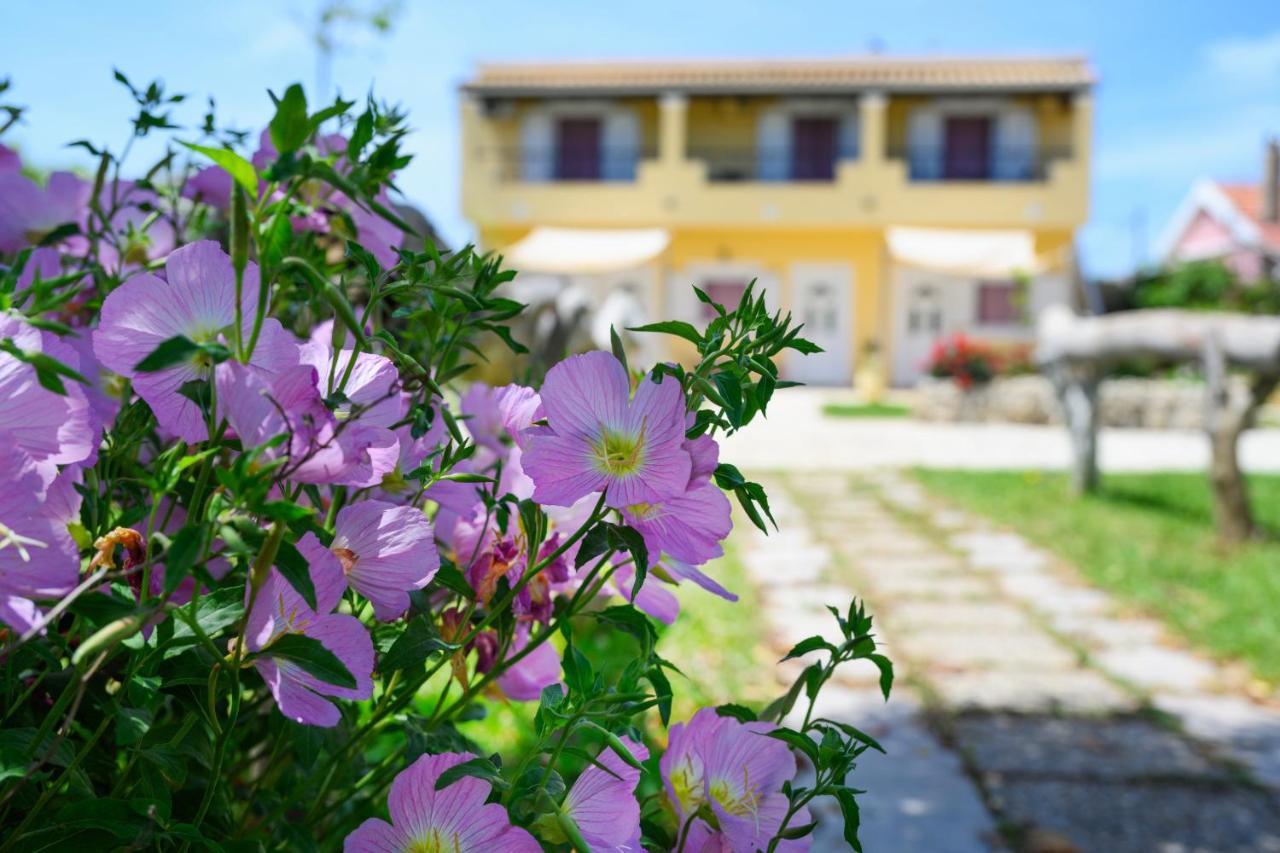 Harmony Corfu Apartments & Studios ภายนอก รูปภาพ