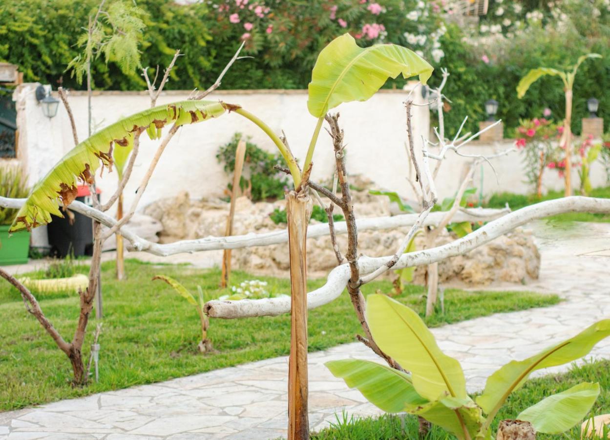 Harmony Corfu Apartments & Studios ภายนอก รูปภาพ